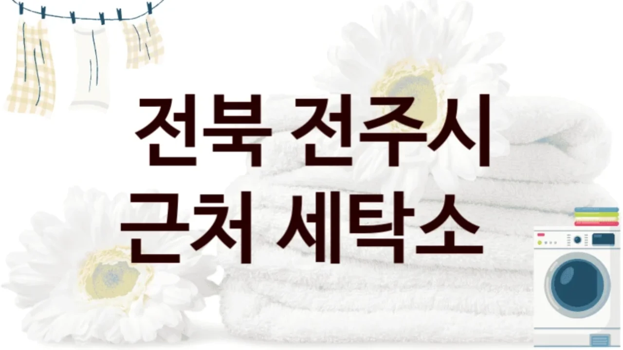 전북 전주시 손세탁 전문 세탁소 안내, 세탁 비용 정리
