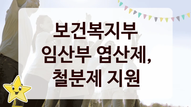 정부 지원 제도 “임산부 엽산제, 철분제 지원” 신청 대상 및 자격 조건 – 보건복지부