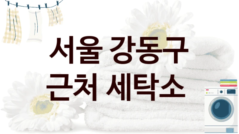 서울 강동구 세심한 관리가 돋보이는 세탁 클리닝 서비스 소개, 세탁법까지