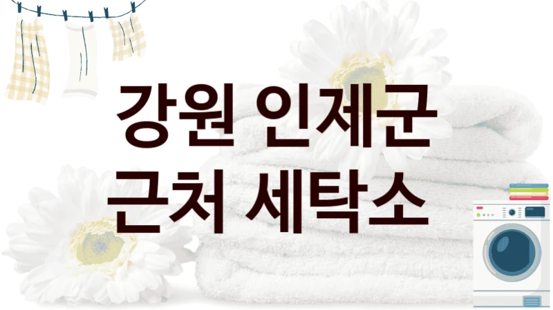 강원 인제군 근처 세탁소