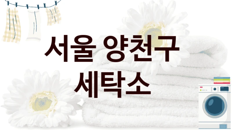서울 양천구  세탁소