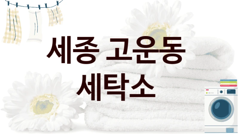 세종 고운동  세탁소