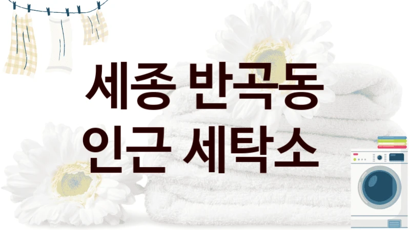 세종 반곡동 인근 세탁소