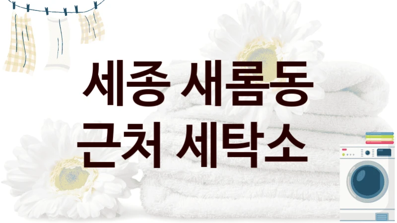 세종 새롬동 근처 세탁소