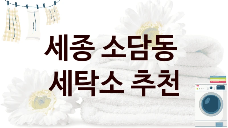 세종 소담동  세탁소 추천