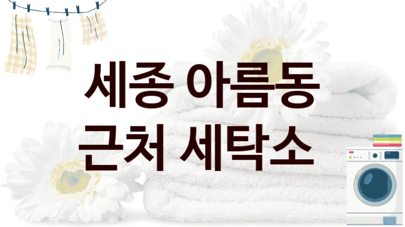 세종 아름동 근처 세탁소