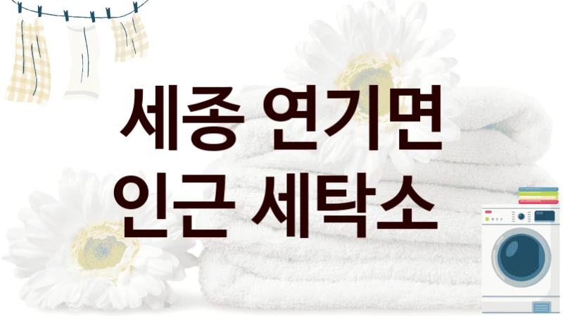 세종 연기면 인근 세탁소