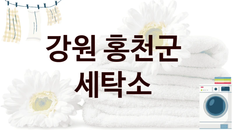 강원 홍천군  세탁소