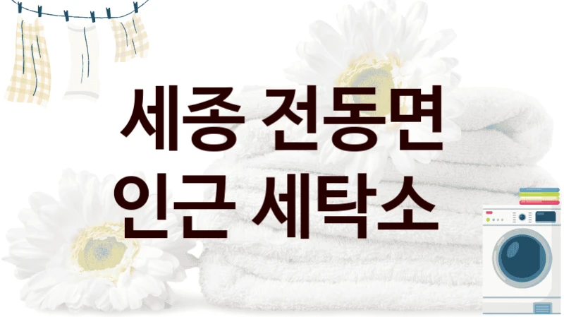세종 전동면 인근 세탁소