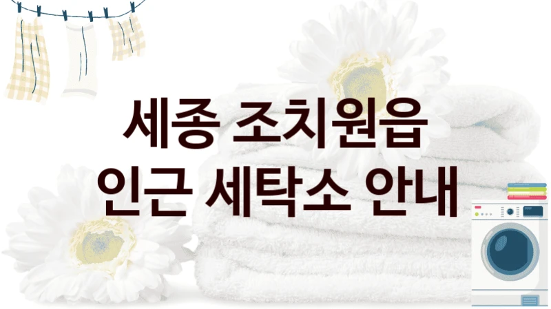 세종 조치원읍 인근 세탁소 안내
