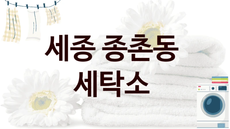 세종 종촌동  세탁소