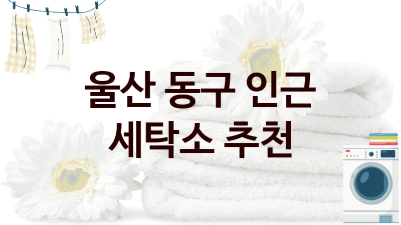 울산 동구 인근 세탁소 추천
