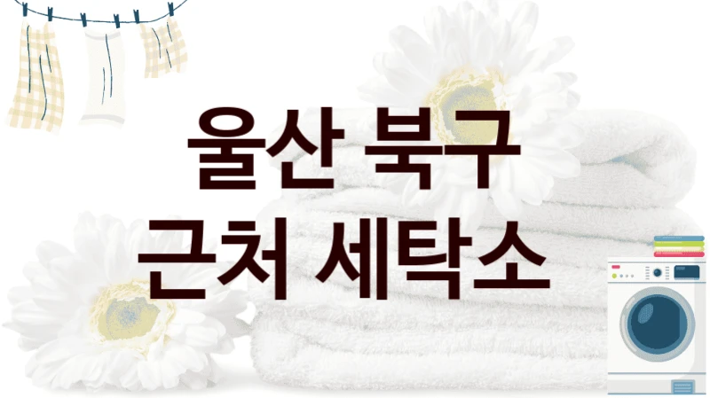 울산 북구 근처 세탁소