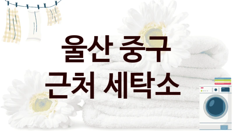 울산 중구 근처 세탁소
