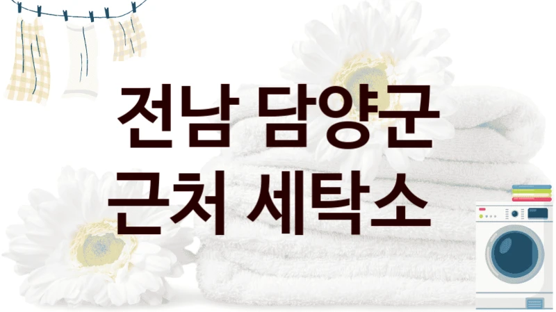 전남 담양군 근처 세탁소