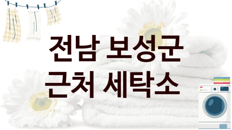 전남 보성군 근처 세탁소