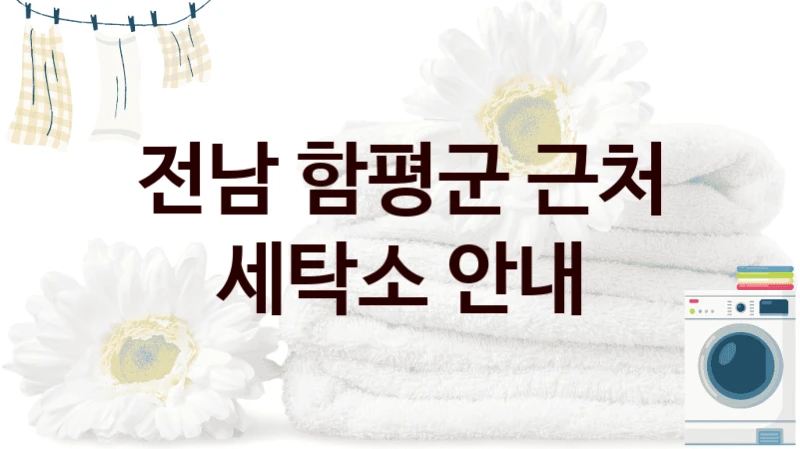 전남 함평군 근처 세탁소 안내