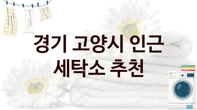 경기 고양시 인근 세탁소 추천