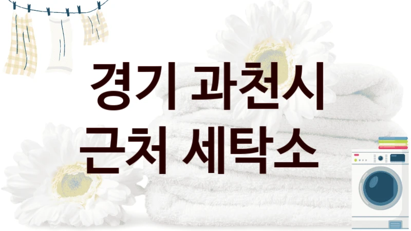 경기 과천시 근처 세탁소