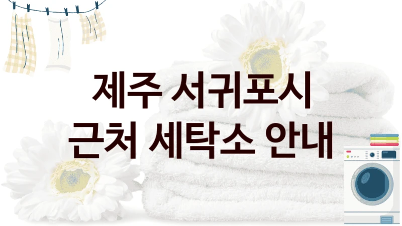 제주 서귀포시 근처 세탁소 안내