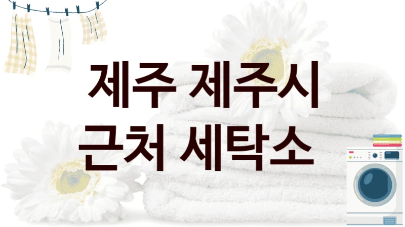 제주 제주시 근처 세탁소