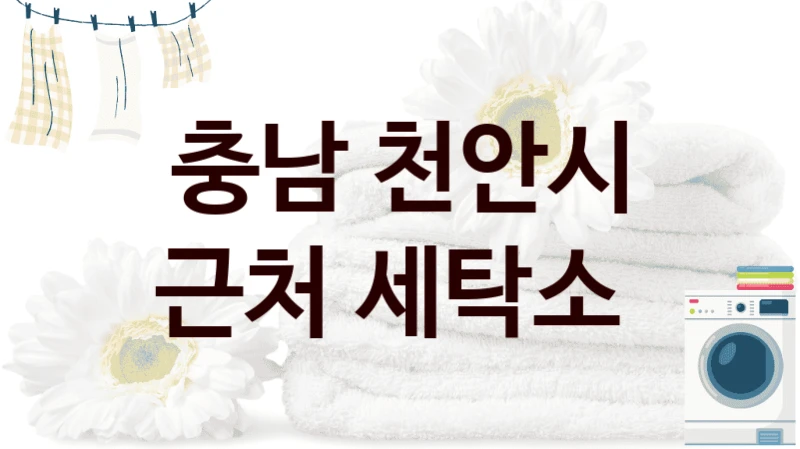충남 천안시 근처 세탁소