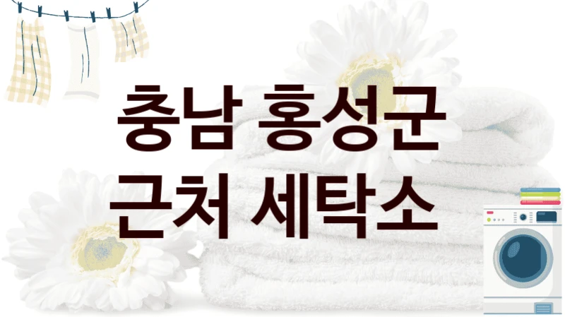 충남 홍성군 근처 세탁소