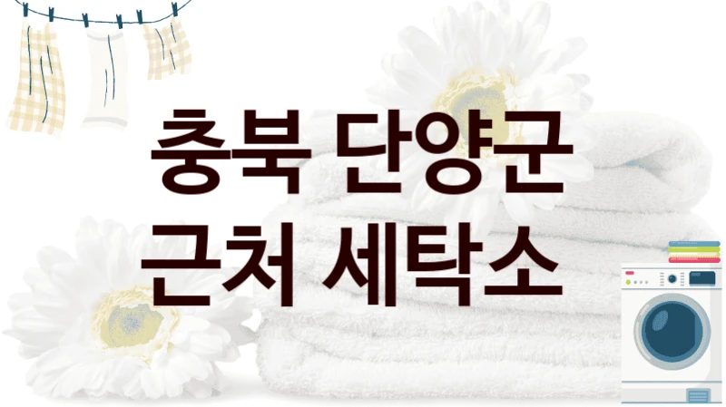 충북 단양군 이불세탁 전문 세탁소 리스트, 가격표 한눈에 보기
