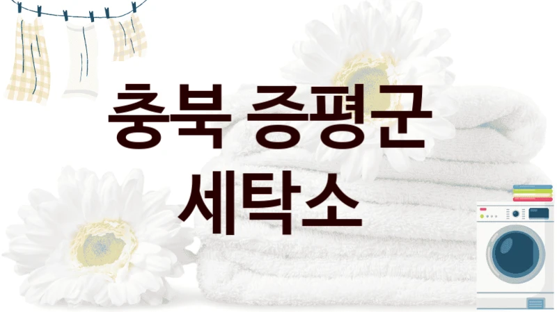 충북 증평군 정리된 세탁소 이용 팁, 소재별 세탁법까지 함께 알아봐요