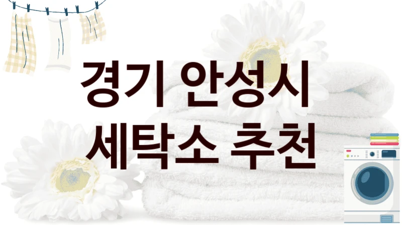 경기 안성시  세탁소 추천