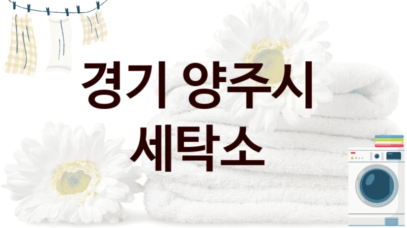 경기 양주시  세탁소