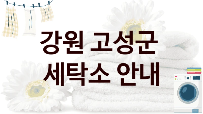 강원 고성군  세탁소 안내