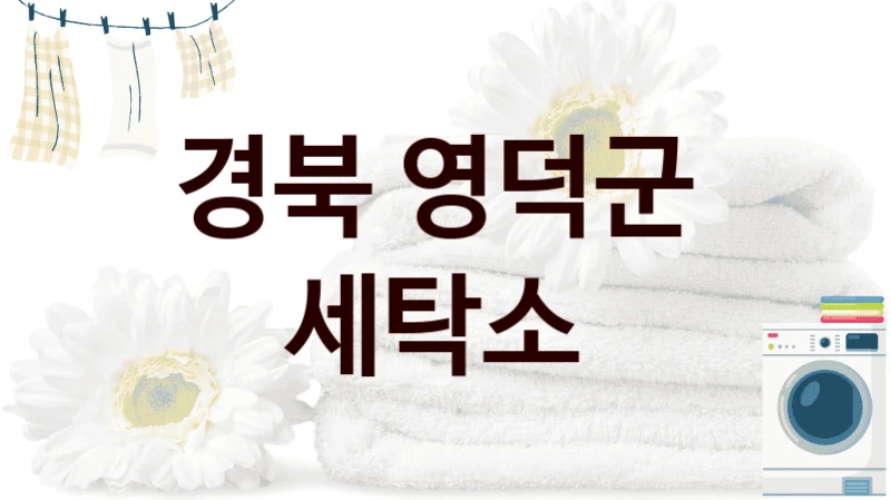경북 영덕군  세탁소