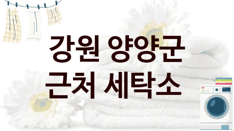 강원 양양군 근처 세탁소