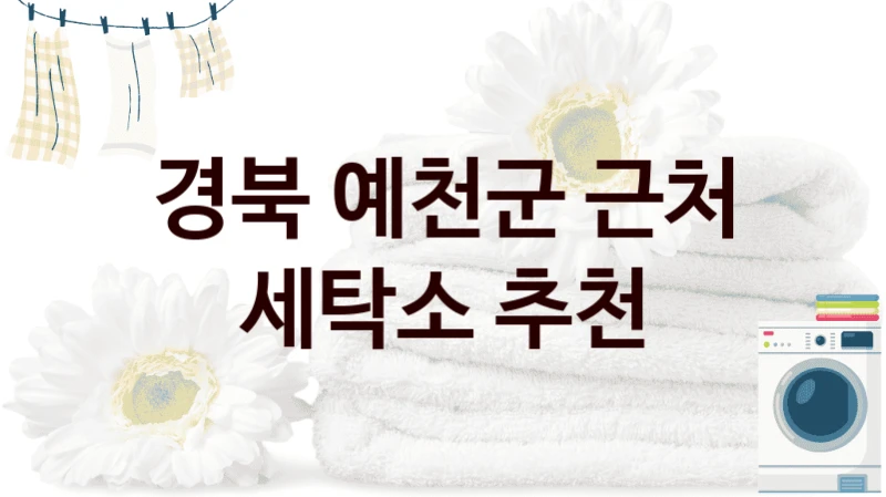 경북 예천군 근처 세탁소 추천