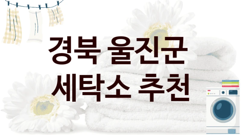 경북 울진군  세탁소 추천