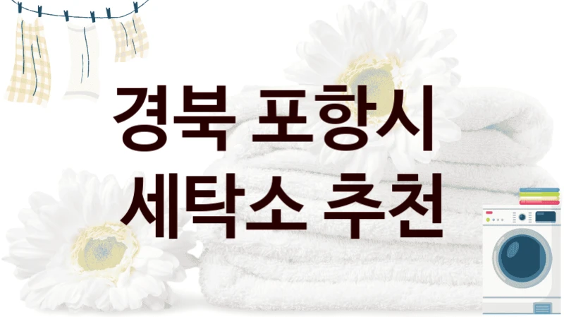 경북 포항시  세탁소 추천
