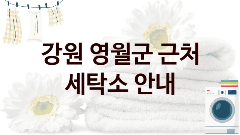강원 영월군 근처 세탁소 안내