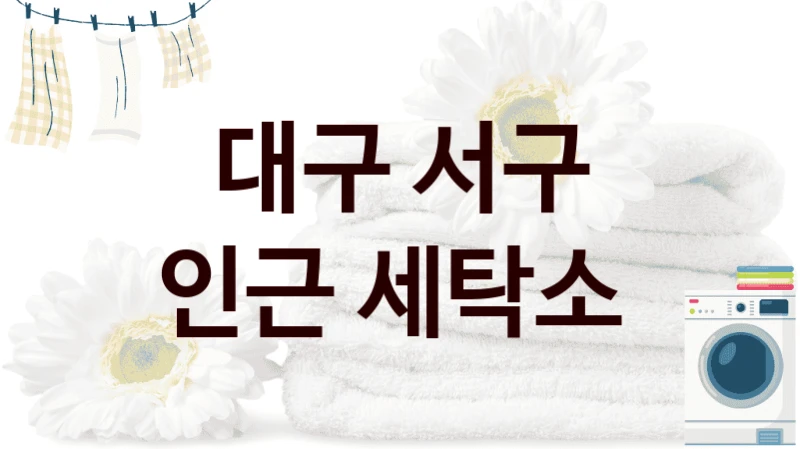 대구 서구 인근 세탁소