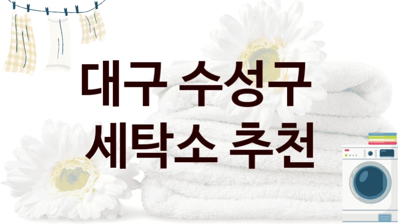 대구 수성구  세탁소 추천