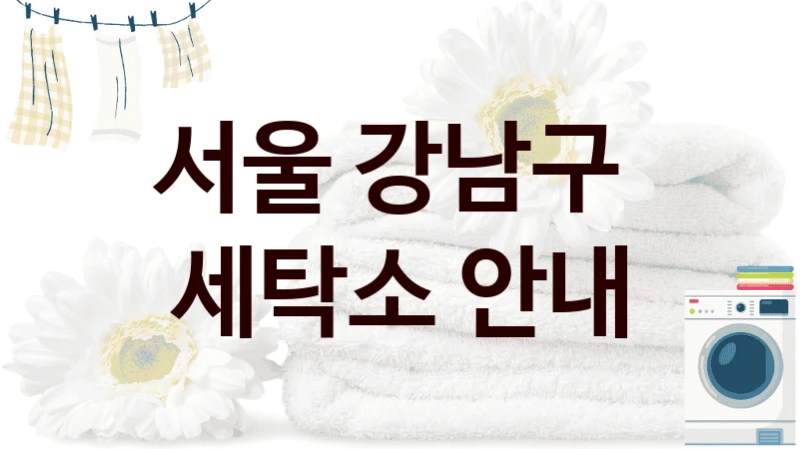 서울 강남구 친절한 세탁 클리닝 서비스 안내, 세탁팁까지
