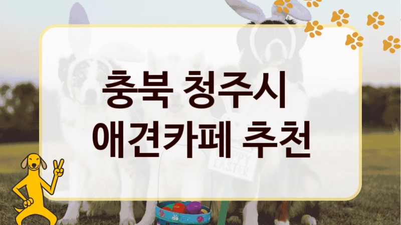 충북 청주시  애견카페 추천