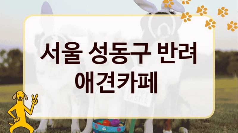 서울 성동구 반려 애견카페