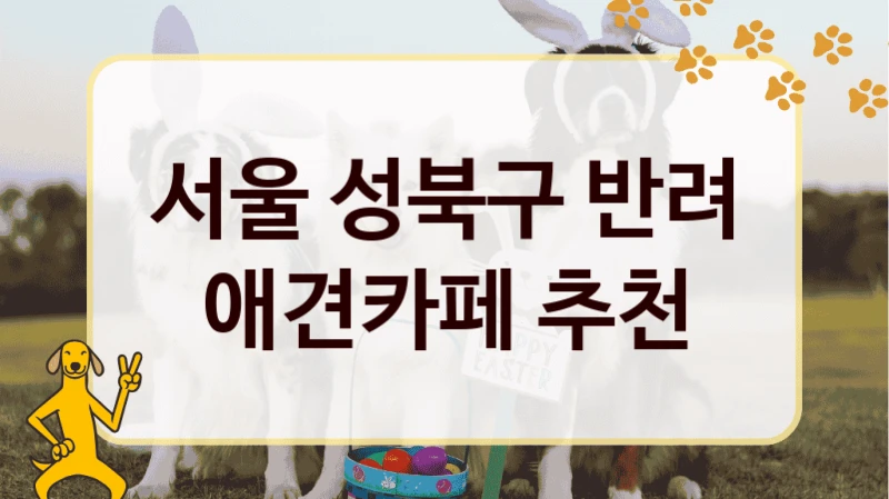 서울 성북구 반려 애견카페 추천