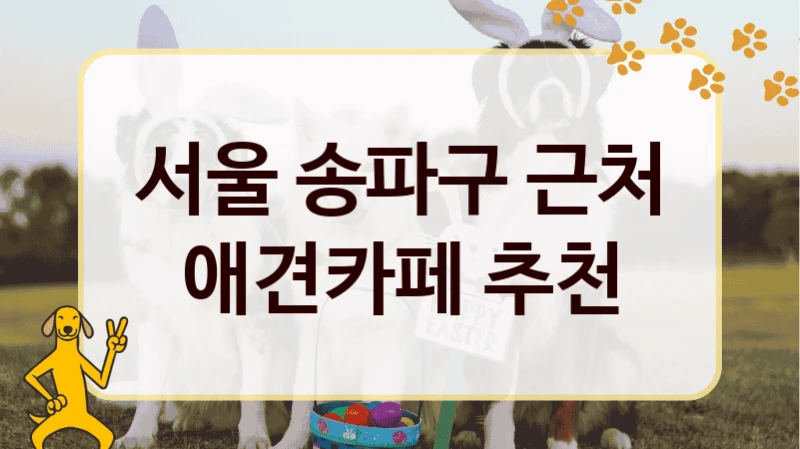 서울 송파구 근처 애견카페 추천