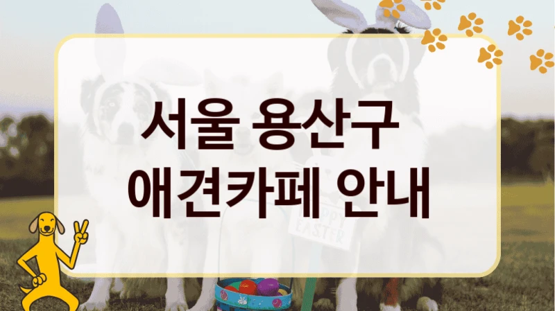 서울 용산구  애견카페 안내