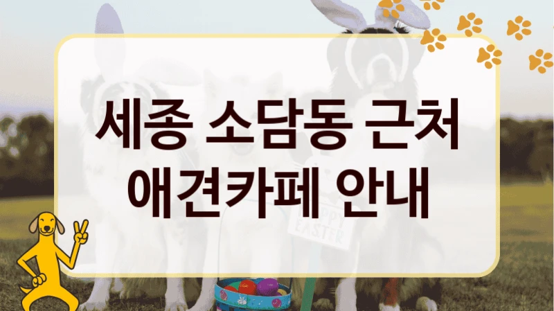 세종 소담동 근처 애견카페 안내
