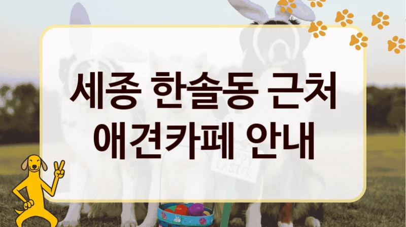 세종 한솔동 근처 애견카페 안내
