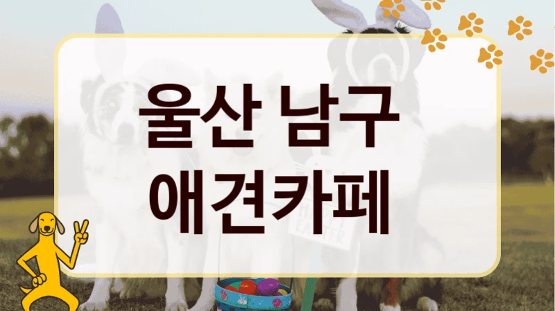 울산 남구  애견카페