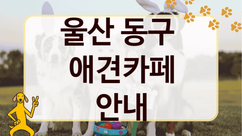 울산 동구  애견카페 안내